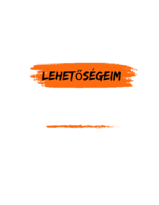 Milyen lehetőségeim vannak?